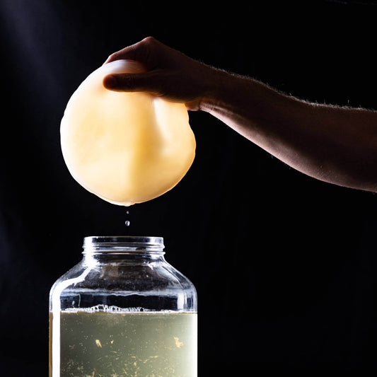 Kombucha recept: Kako napraviti kombuchu sa zelenim čajem