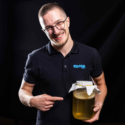 Kombucha gljiva s Njuškala ili Facebooka: Zašto stručnjaci upozoravaju