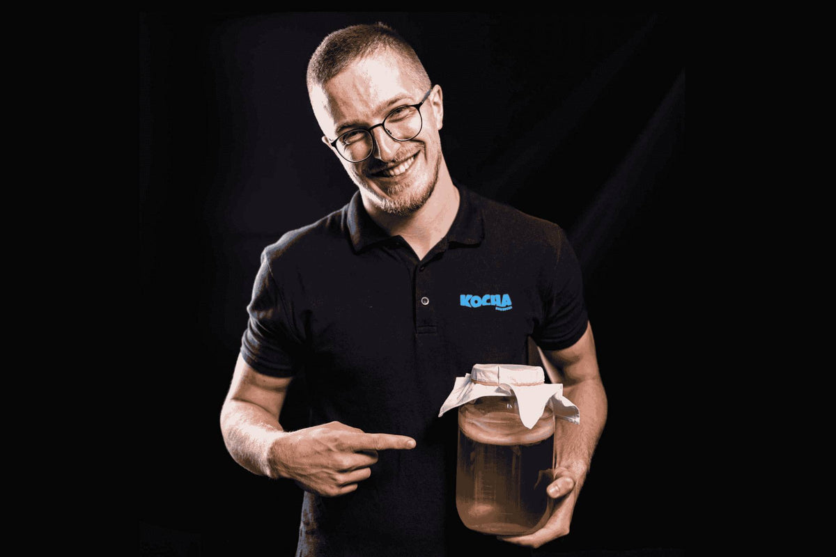 KOCHA Kombucha – prirodna, domaća kombucha iz Hrvatske